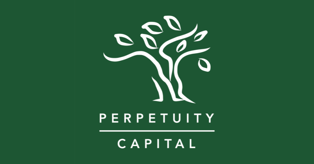 Perpetuity Capital-Top 10 RegTech Startups in India