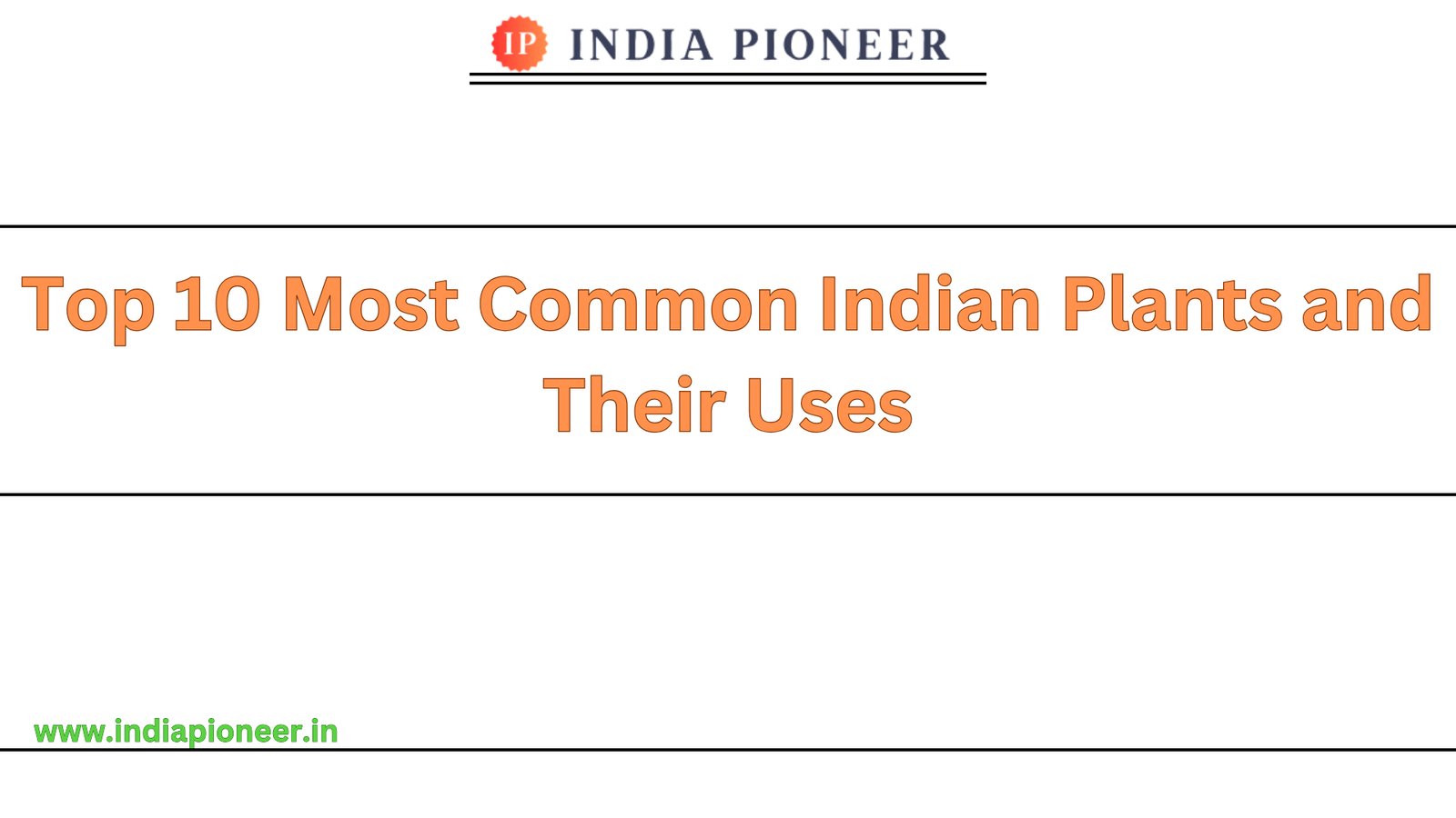 Top 10 Most Common Indian Plants and Their Uses