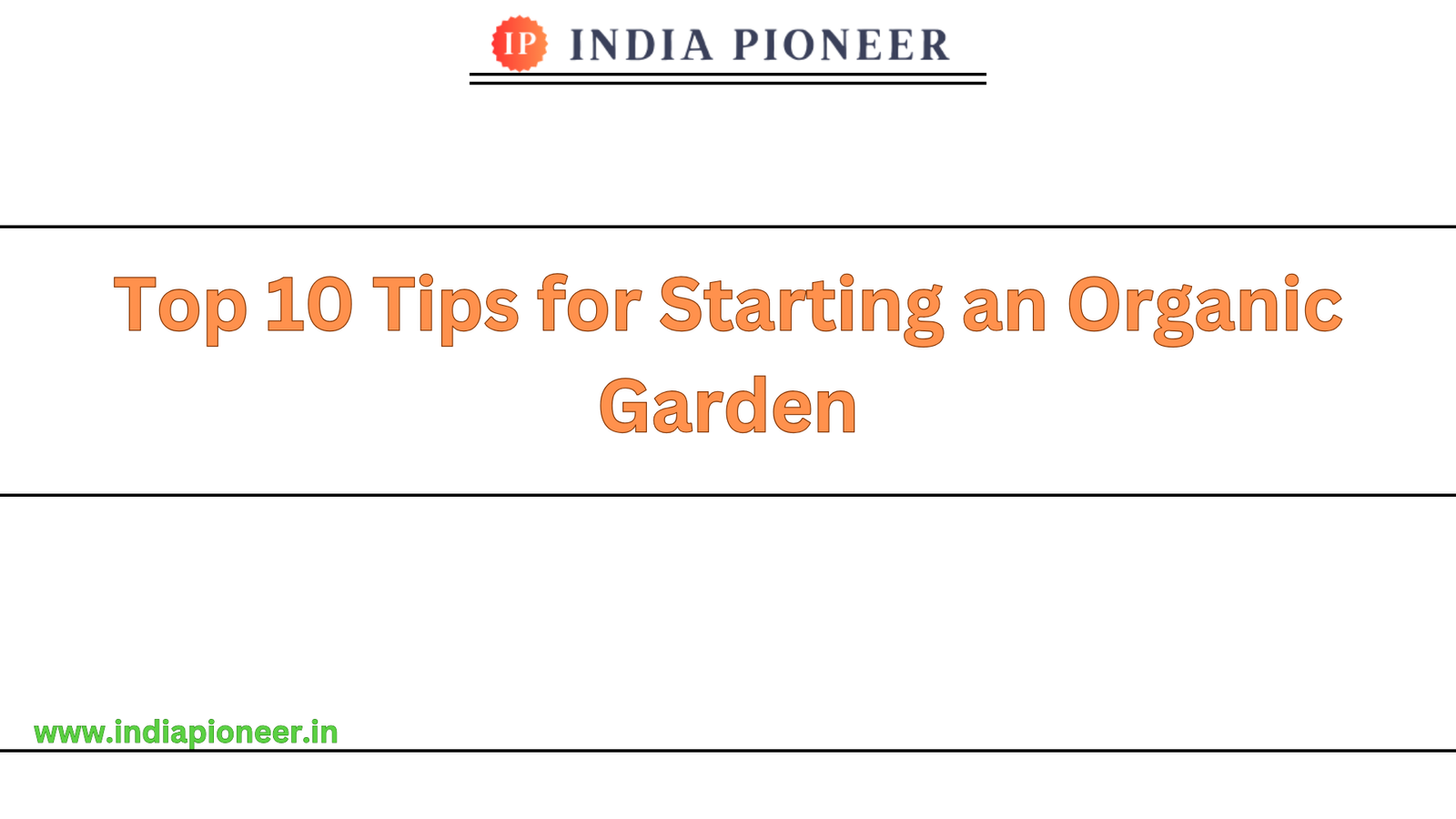 Top 10 Tips for Starting an Organic Garden