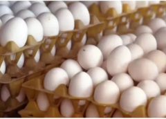 Egg Prices Surge in Assam as Supply Constraints Push Rates Up