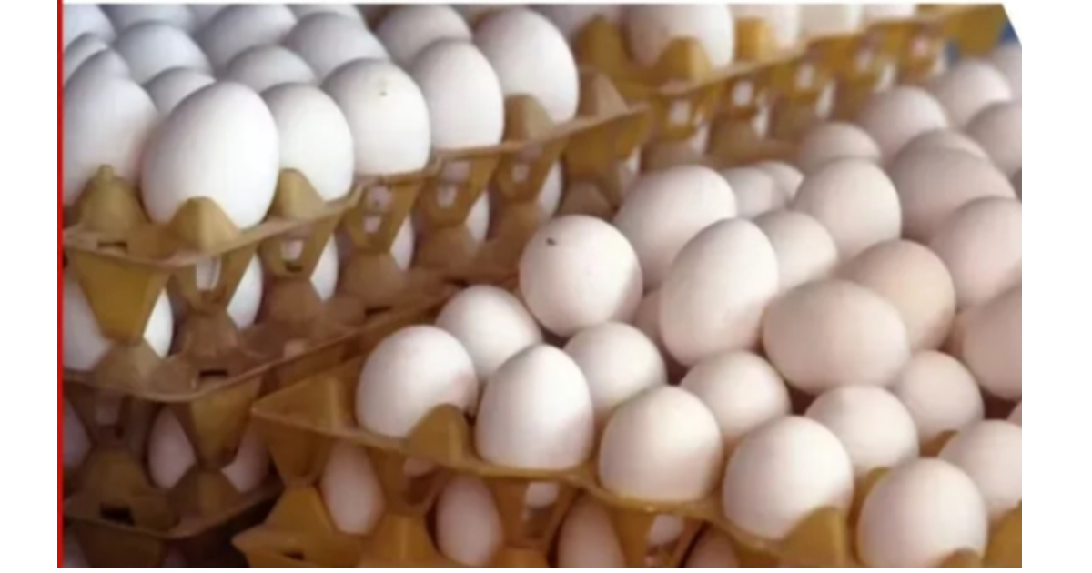 Eggs displayed in trays at a market in Assam with rising prices
